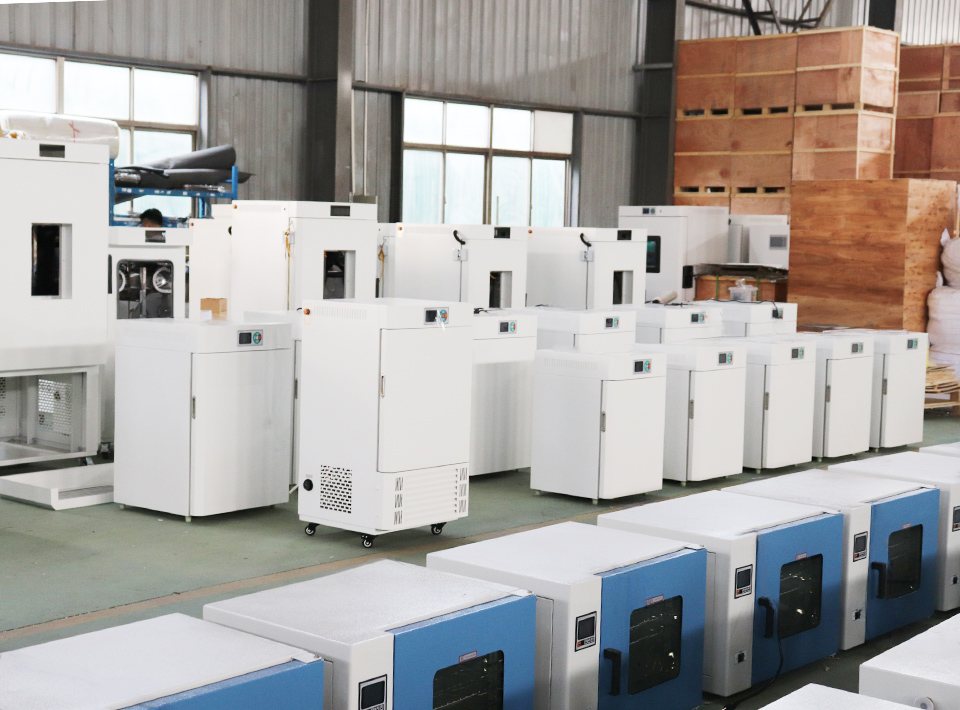 Shanghai Dengsheng Instrumenti Vestibulum Co., Ltd.