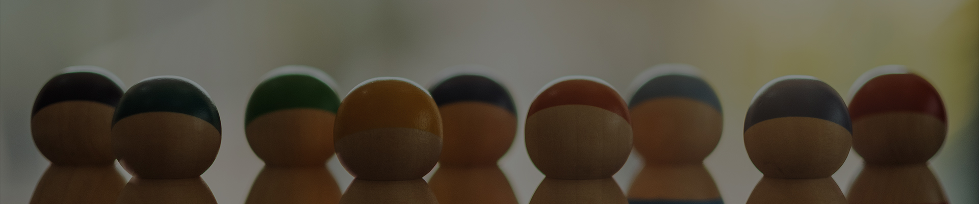 Shanghai Dengsheng Instrumenti Vestibulum Co., Ltd.