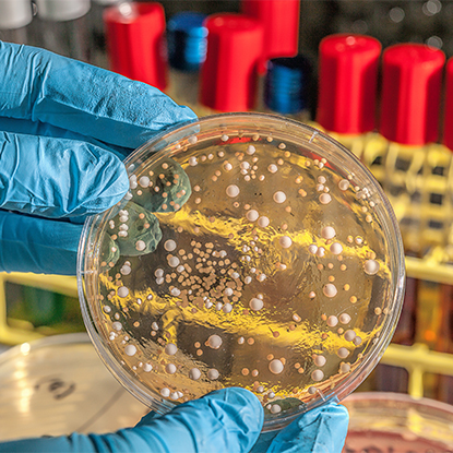 Sanitas et Morbus Imperium