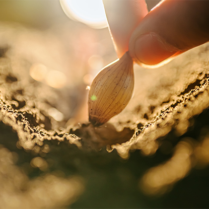 Agriculture and Forestry