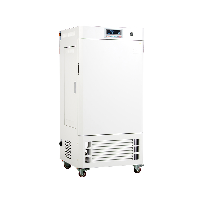 Humilis sonitus munus bonum obsignatio perficientur Illuminated Incubator